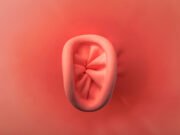 ¿El sexo anal tiene mala fama?