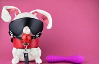 Los juguetes favoritos