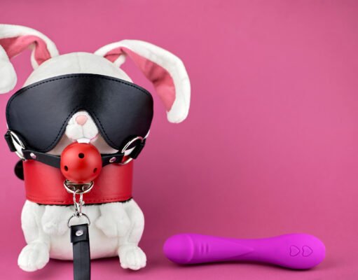 Los juguetes favoritos