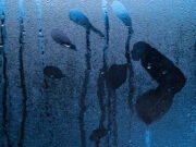 La motivación erótica de la lluvia