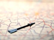 El mapa no es el territorio: un recorrido por las zonas erógenas